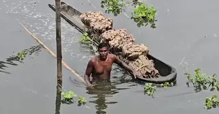 জলবায়ুর পরিবর্তনে বিলুপ্তির পথে গ্রাম-বাংলার ঐতিহ্যবাহী তালের ডোঙ্গা নৌকা